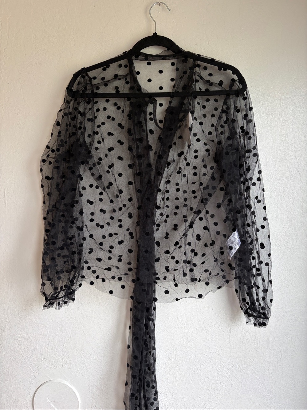 Banana Republic Sheer Polka Dot Blouse long sleeve tie neck sexy